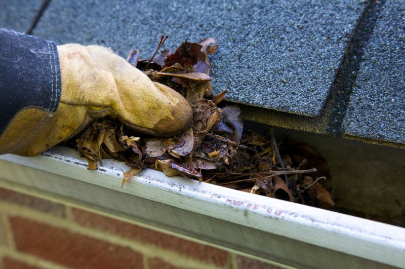 Clogged Gutter Clearing in Monmouth County, NJ