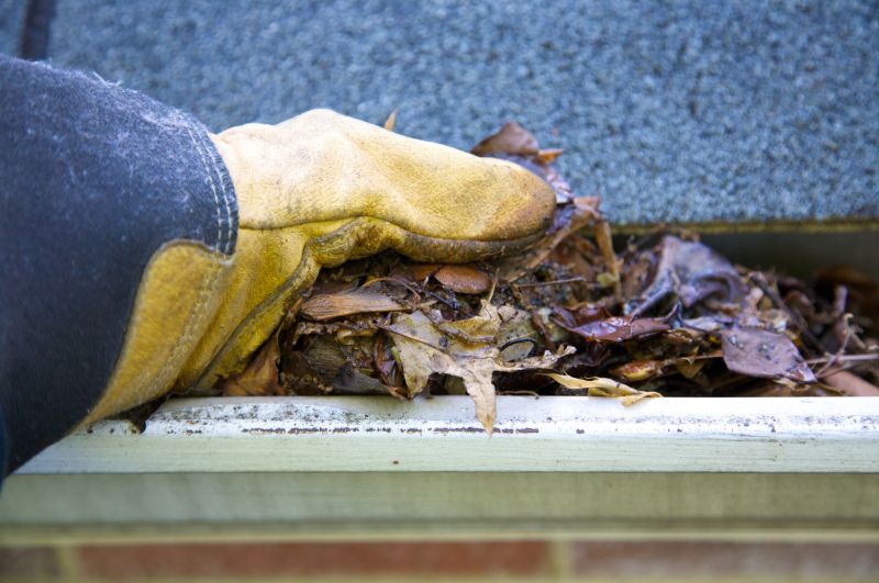 Clogged Gutter Clearing in Bergen County, NJ