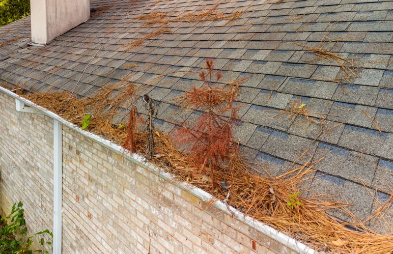 Gutter Pine Needle Removal in Baltimore, MD