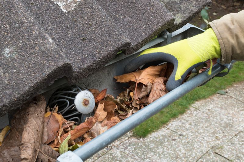 Business Gutter Cleaning in Denver, CO