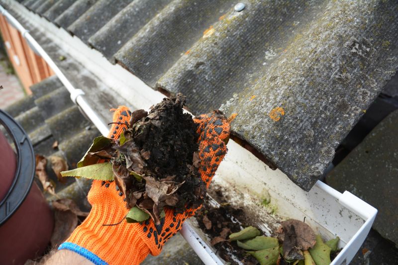 Clogged Gutter Clearing in Rochester, NY