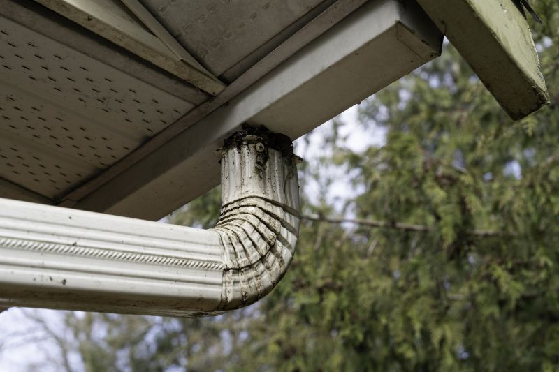 Eavestrough Clearing in Bergen County, NJ