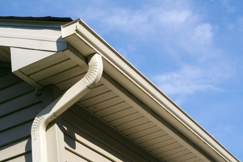 Eavestrough Clearing in Boulder, CO