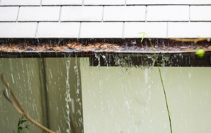 Gutter Blockage Removal in Rochester, NY