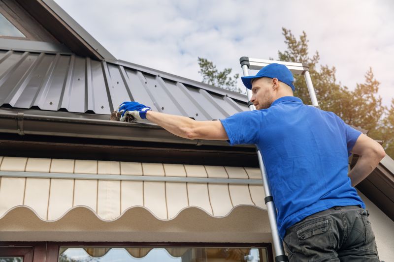 Gutter Cleaning in Fredericksburg, VA