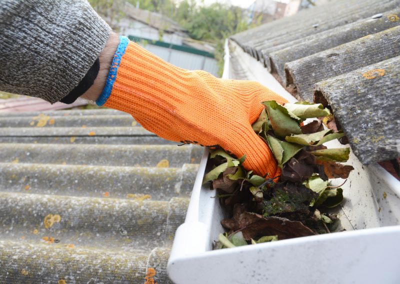 Gutter Leaf Clearing in Frederick, MD
