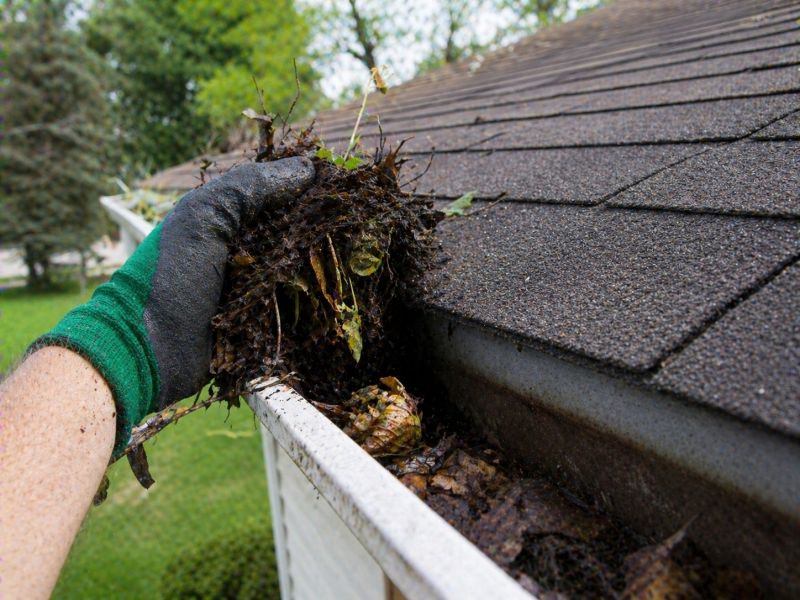 Gutter Leaves Removal in Fredericksburg, VA