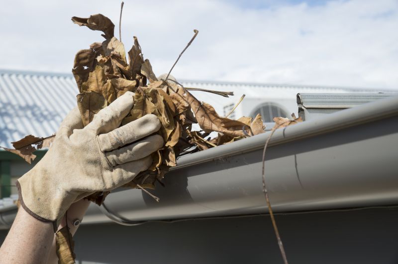 Gutter Leaves Removal in Richmond, VA