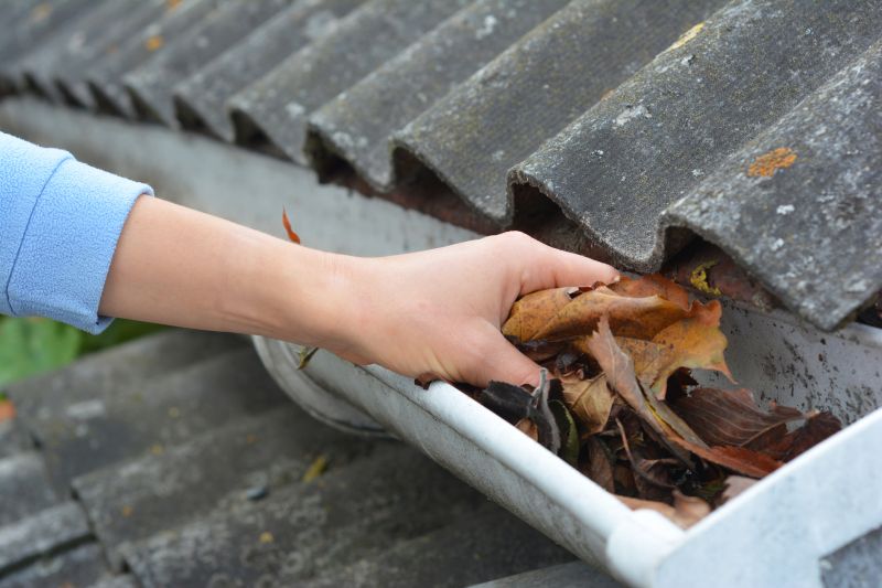 Gutter Leaves Removal in Arvada, CO