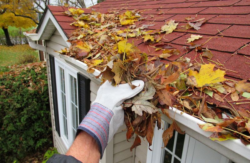 Gutter Pine Needle Removal in Longmont, CO