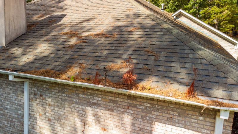 Gutter Pine Needle Removal in Richmond, VA