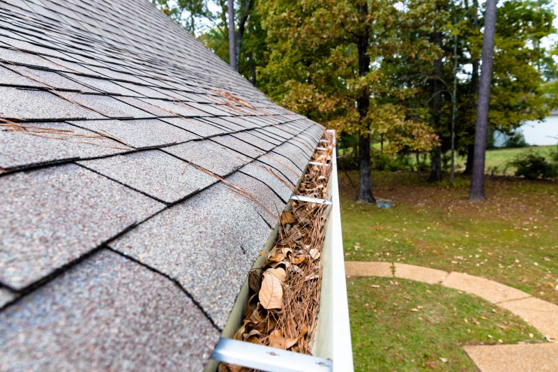 Gutter Pine Needle Removal in Arvada, CO