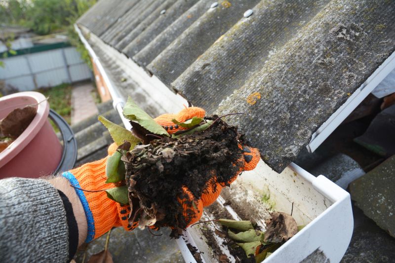 Rain Gutter Clearing in Monmouth County, NJ