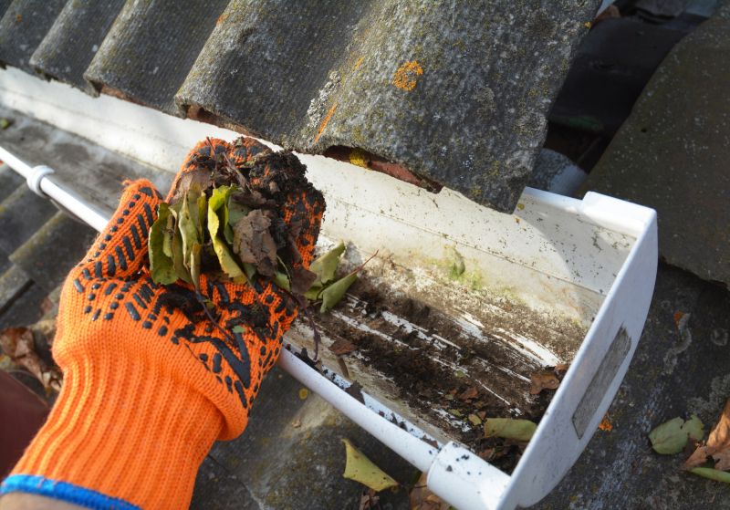 Roof Gutter Cleaning in Fredericksburg, VA